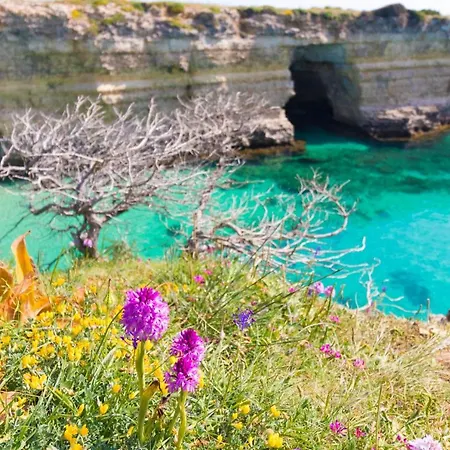 Casa Vacanze Dafne In Salento Appartement Otranto